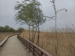 -绿堤公园