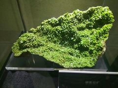 -中华赏石园