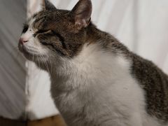 -UNIUNI(凯瑟琳广场店)