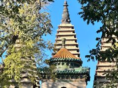 -北京石刻艺术博物馆(五塔寺)