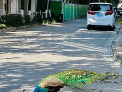 -金庭庄园酒店-停车场