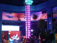 -幸福花欢乐世界(东辰广场A座店)