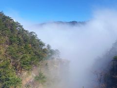 -庐山风景区花径公园