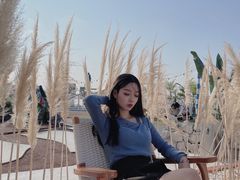 -Blue Concept Cafe&Farm·關於藍