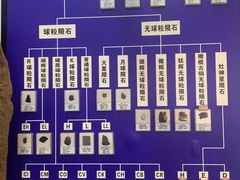 -志强陨石馆(双季花艺店)