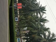 -万绿园