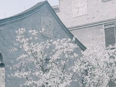 -紫阳古街