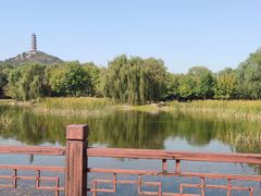 -北坞公园