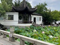 -八大山人梅湖景区