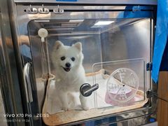 -美联众合动物医院·24h京西诊疗中心