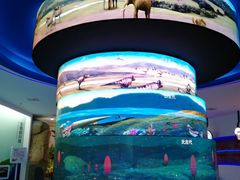 -金钉子远古世界景区