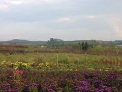 -北纬44度·金珠花海休闲农业旅游景区