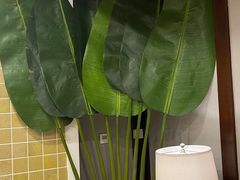-阿诺泰·泰国餐厅(紫荆店)