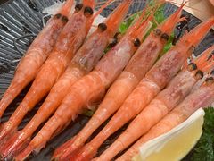 甜虾-争鲜回转寿司(太阳宫凯德PLUS店)