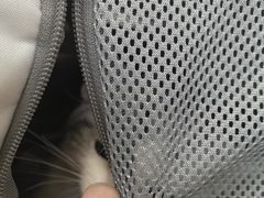 -美联众合动物医院·24h转诊中心