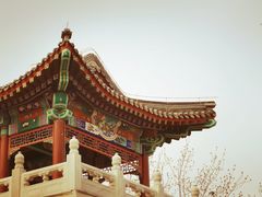 -西海子公园