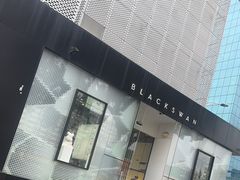 -BLACKSWAN黑天鹅(环球店)