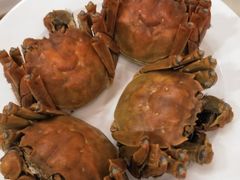 -王宝和酒家(黄浦店)