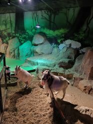 点击看大图 -酷嗒动物文化乐园(cutezoo西溪乐天城店)