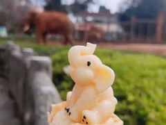 -昆明动物园