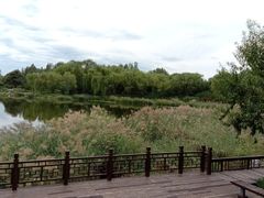 -北坞公园