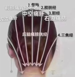 -诗碧曼养发