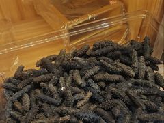 -宫品海参专卖店(静安大宁店)