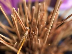 -老瓦房冷锅串串(文殊院店)