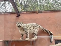 -青藏高原野生动物园