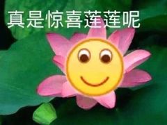 -山泉公馆酒家(珠江新城店)