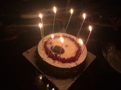 -丽莎蓓甜CAKE生日蛋糕·动物奶油(石家庄店)