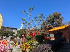 -东莞观音山旅游风景区