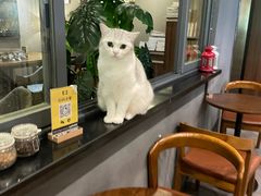 -咖法森林·咖啡  酒吧(天河店)