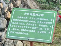 -初溪土楼群