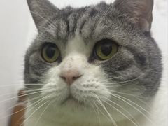 -味千拉面(惠州文昌一路分店)