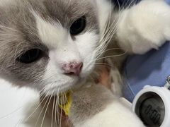 -谐和贝康宠物医院24小时·宠保定点(急重症转诊中心)