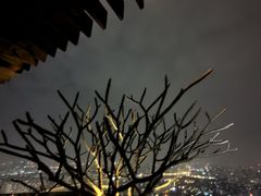 -广州柏悦酒店·悦吧·顶楼露天酒吧