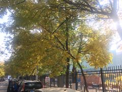 -白老大羊杂碎稍麦