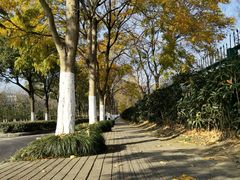 -江南大学(蠡湖校区)