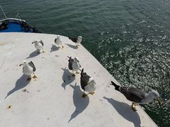 -海驴岛(荣成市)