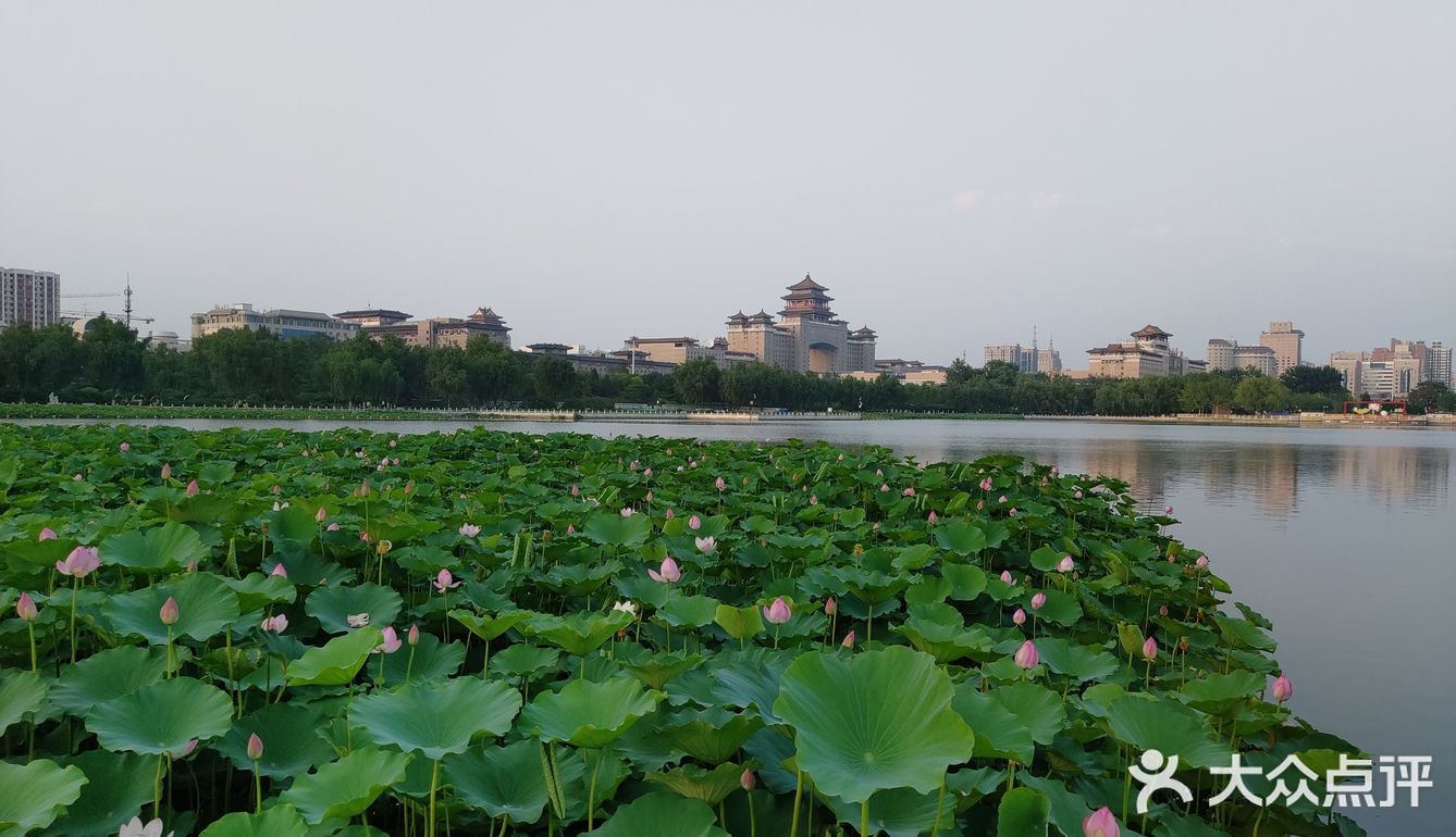 莲花池公园🏃