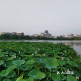 莲花池公园🏃