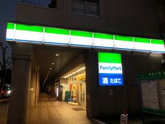 -台场海滨公园船码头
