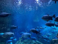 -郑州银基黄帝宫御温泉