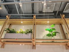 -翡翠拉面小笼包Crystal Jade(上海浦东国际机场T1店)