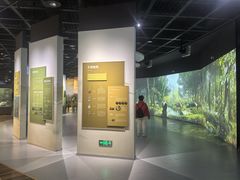 -陕西自然博物馆