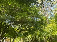 -灵顺寺