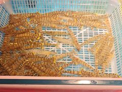 -拉完海鲜大排档(温岭店)