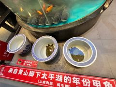 -魏铭鱼头捞饭(嘉善店)