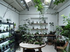 -植觉